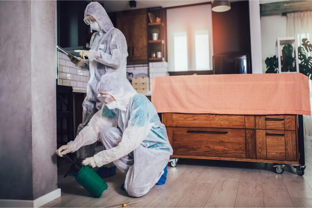 termite control services