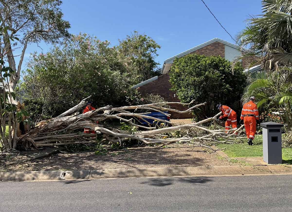 Tree Care Solutions